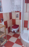 sink, floor, indoor, bathtub, plumbing fixture, shower, tap, mirror, toilet, red, bathroom accessory